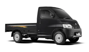Grand Max Pick Up