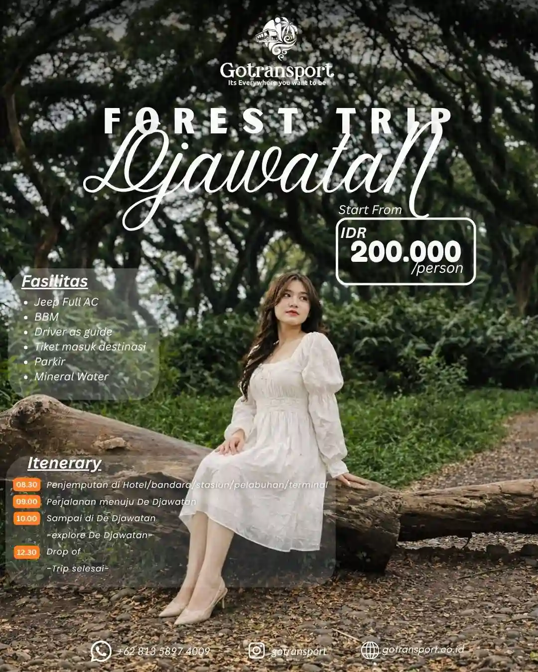 Forest Trip De Djawatan Banyuwangi