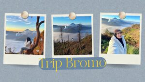 renting jeep bromo